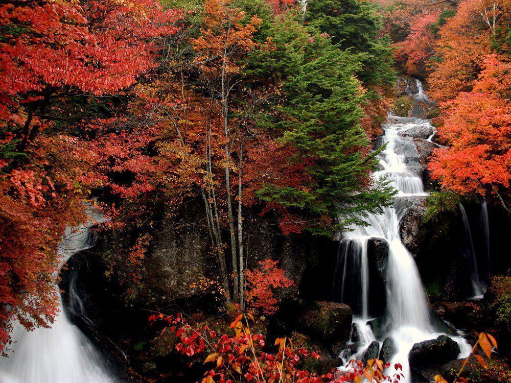 kegon_falls_autumn_foliage_nikko