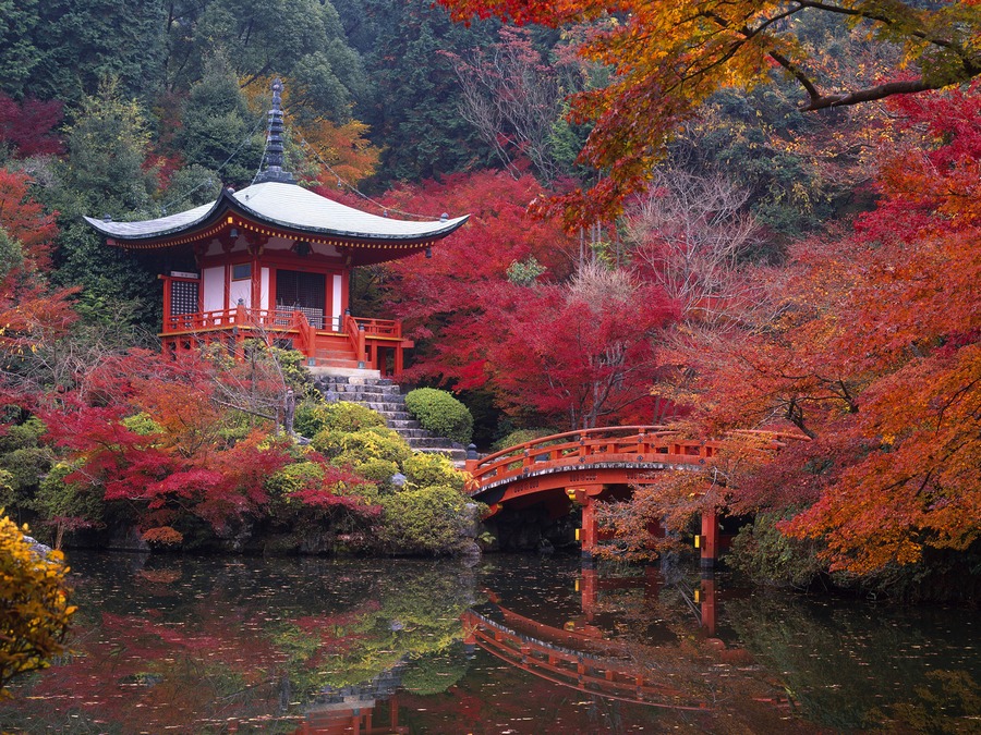autumn-in-japan