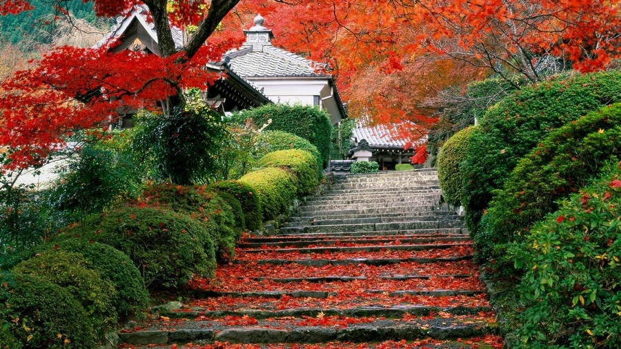 Credit: Japanese autumn blog.