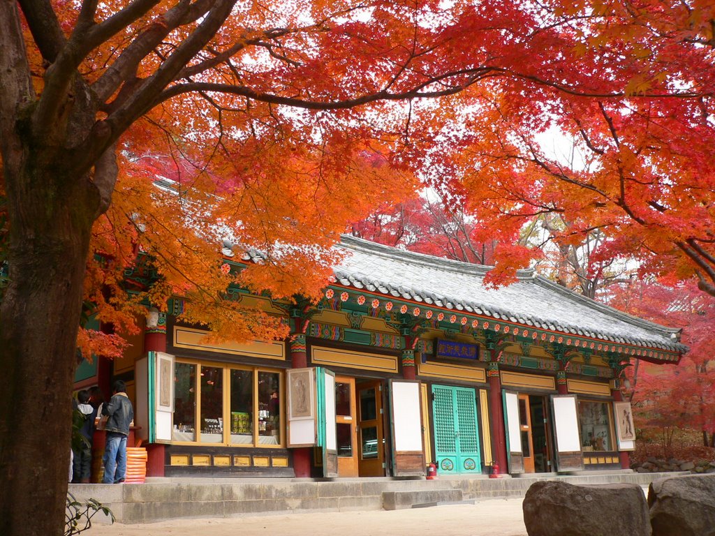 Bulguksa Temple2 Image: fun things to do in South Korea blog.