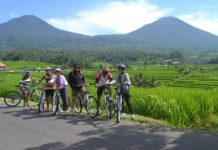 how to get around bali 2