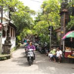 Ubud travel blog — The ultimate Ubud travel guide & what to do in Ubud for first-timers