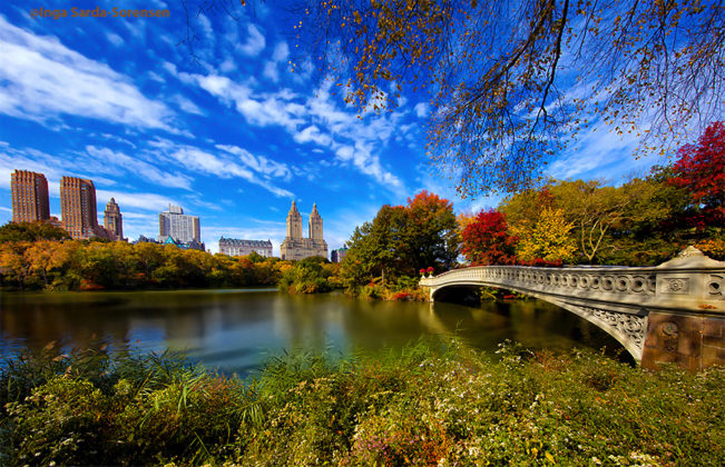Top 18 best places to visit in NYC - Living + Nomads – Travel tips ...