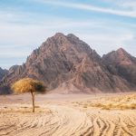 Sinai blog — The quick Sinai travel guide for a journey to the sacred land of Egypt