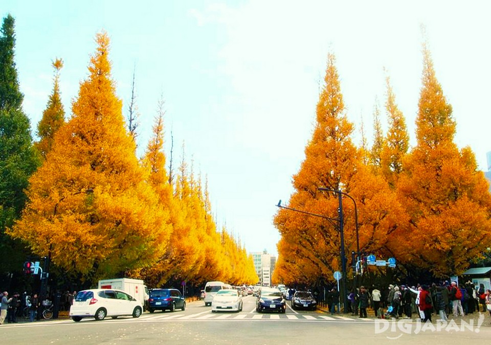 Meiji Jingu Gaien Park autumn tokyo (1)