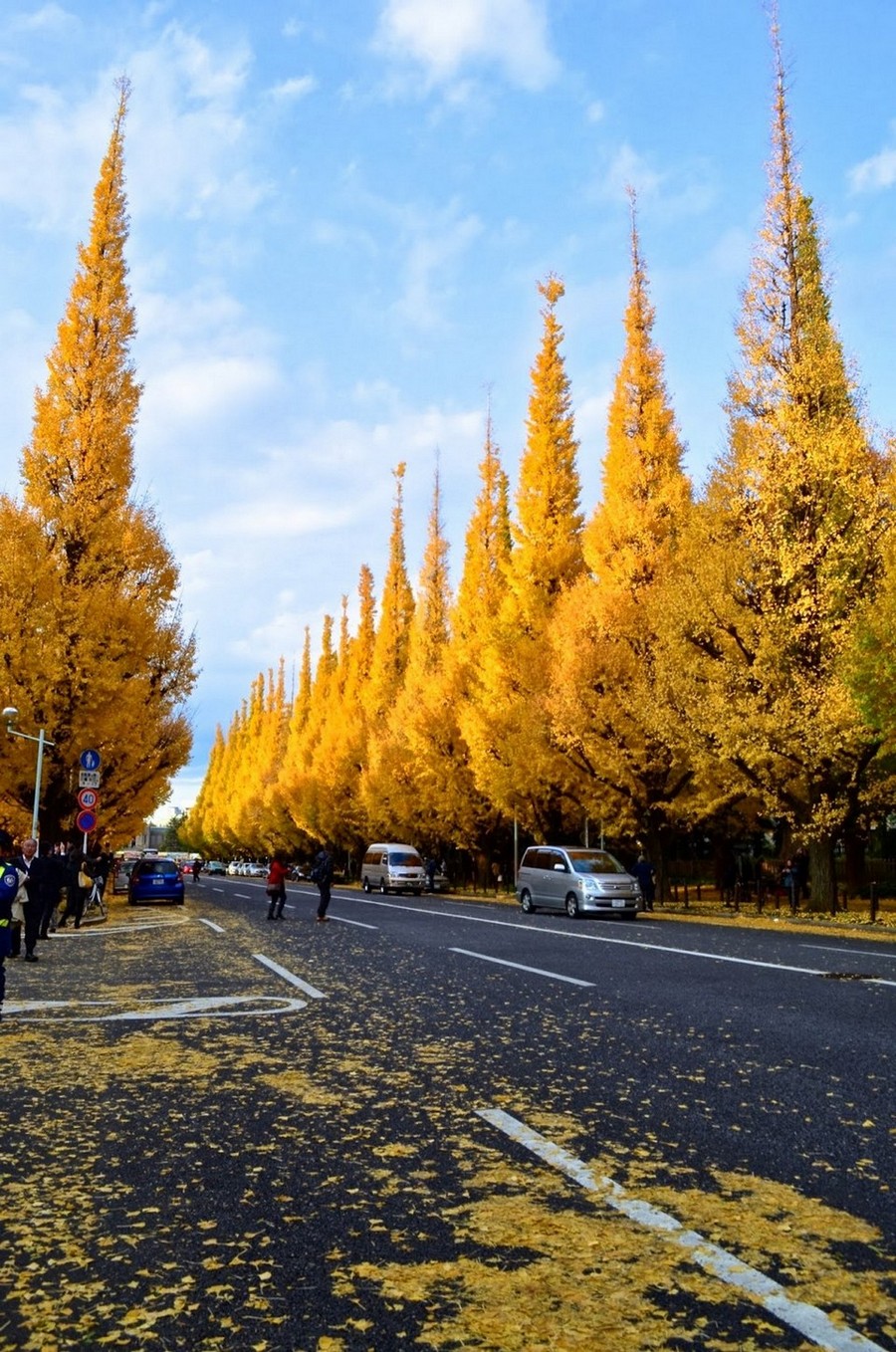 Meiji-jingu Gaien park ginkgo trees leaves autumn tokyo (3)