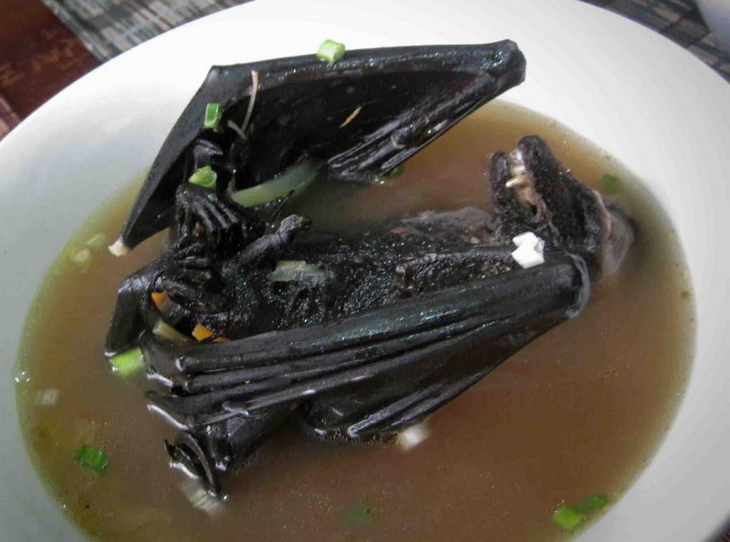 famous Asian dishes challenge the courage of diners (11) weird foods in asia weird asian food