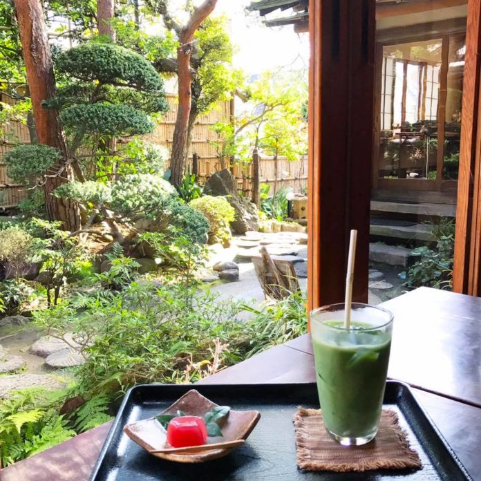 Visiting Kosoan tea house — The traditional tea room in Tokyo Living