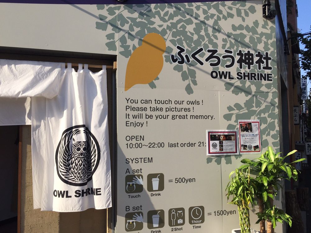 Owl Shrine Asakusa tokyo (12)