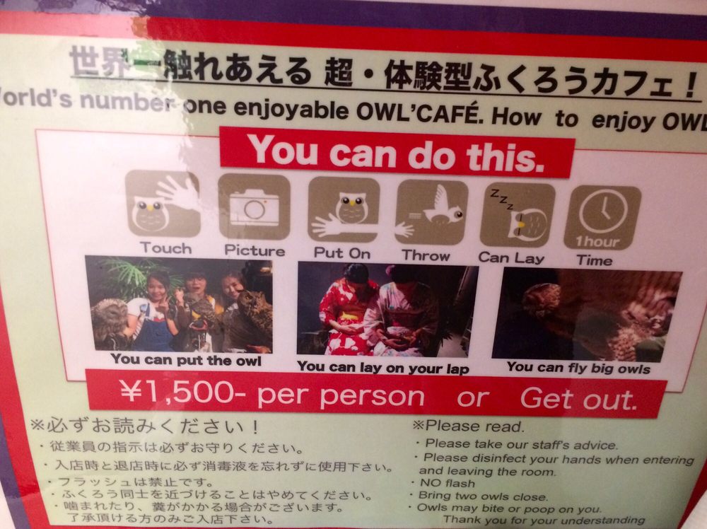 Owl Shrine Asakusa tokyo (1)
