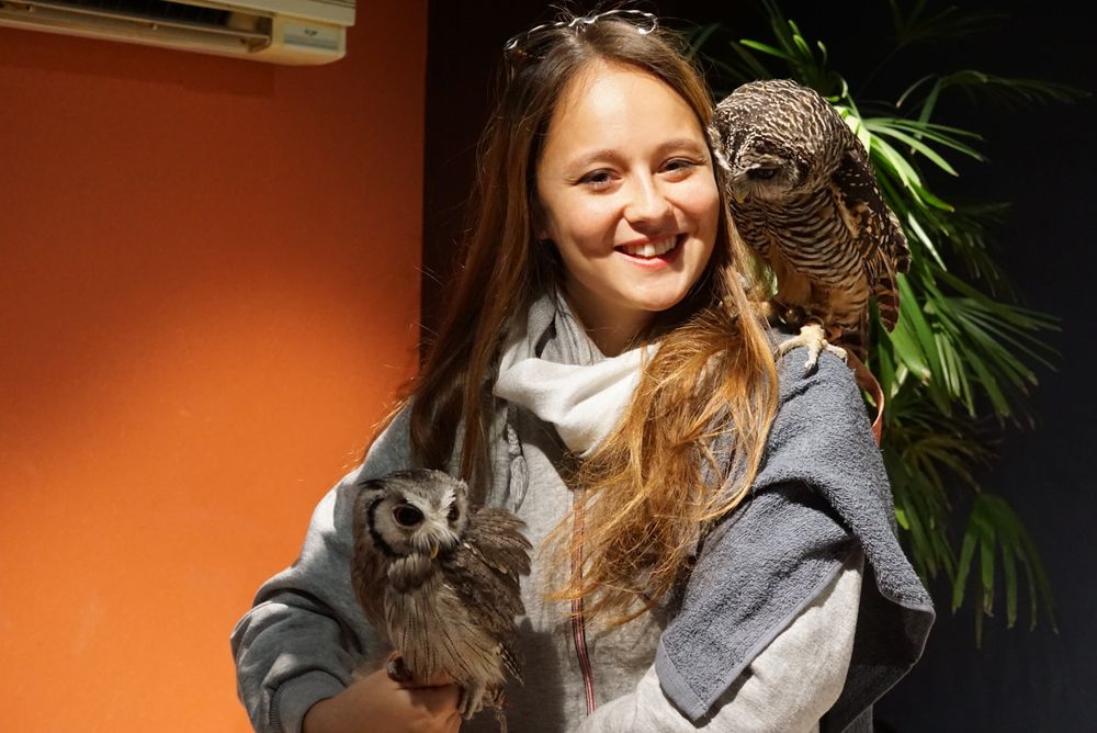 Owl Shrine Asakusa tokyo (29)
