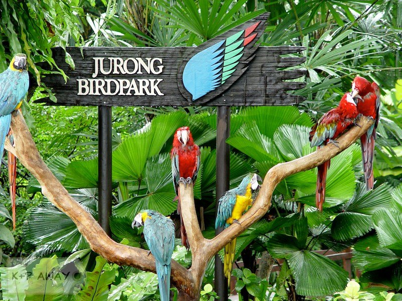 Jurong Birdpark