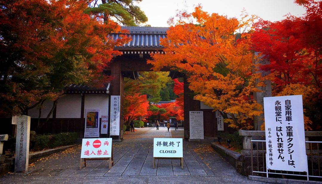 Eikando Zenrinji kyoto autumn best places to see autumn leaves in kyoto