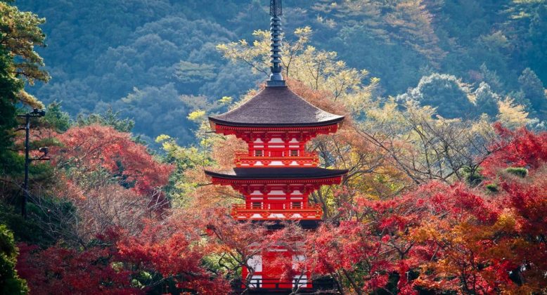 Kyoto fall foliage forecast 2024 — The timeframe & 15+ best place to ...