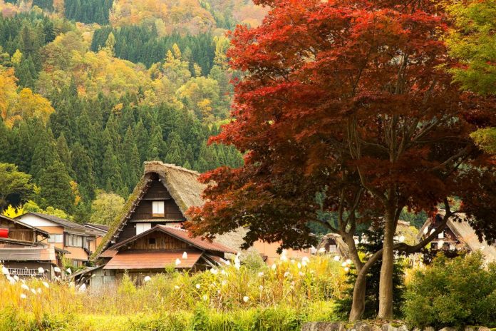 Explore 5 Things To Do In Shirakawa Go — One Of The Most Beautiful