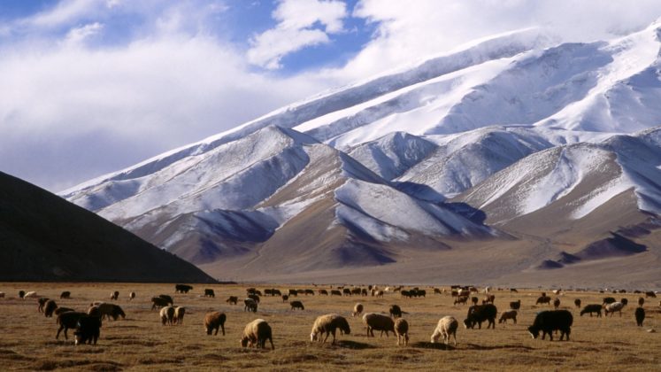 Xinjiang travel blog — A journey to the paradise of earth - Focus Asia ...