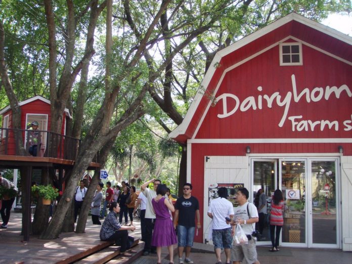 Khao Yai travel blog — Best places to visit & top things to do in Khao