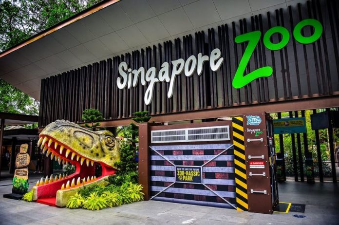 Singapore Zoo tips & guide — Some experiences and useful tips for ...