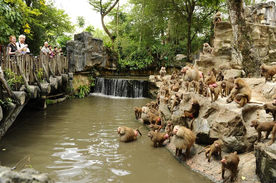 The singapore zoo7
