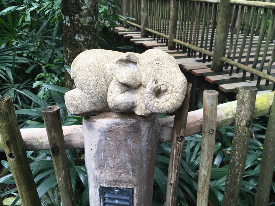 Singapore zoo13