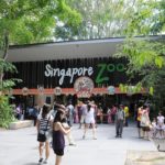 Singapore Zoo tips & guide — Some experiences and useful tips for visiting Singapore Zoo