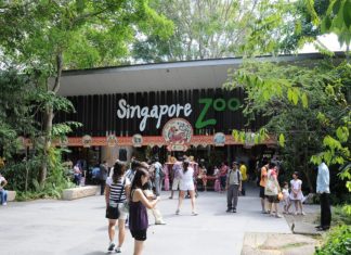 Singapore_Zoo_entrance