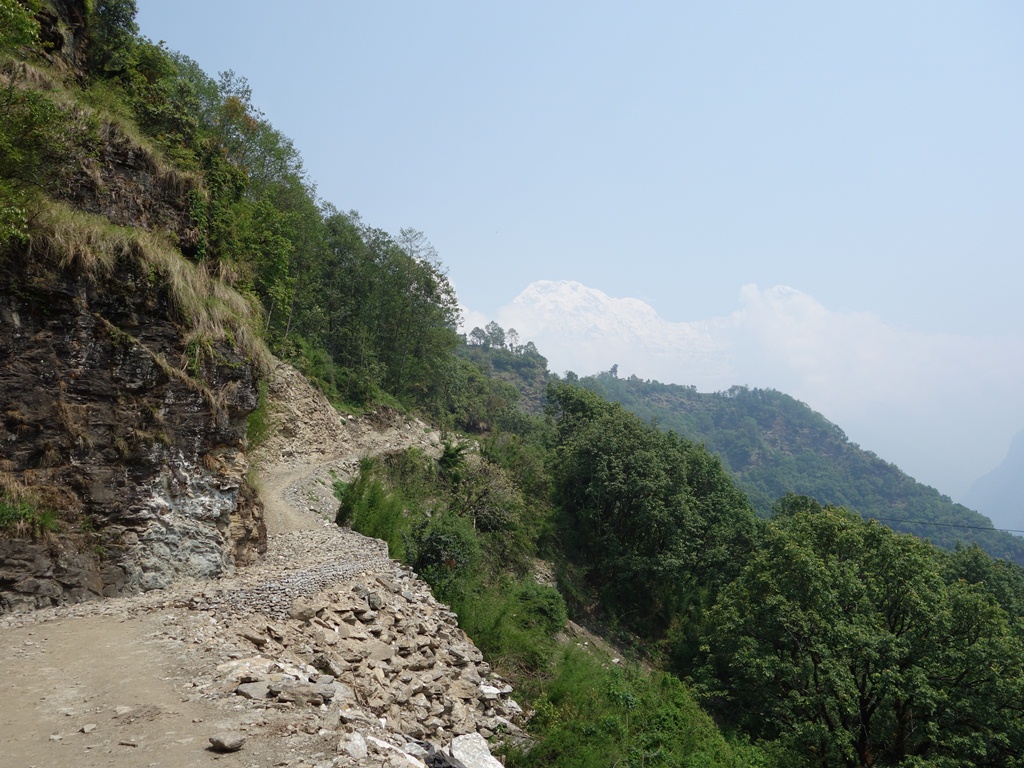 trekking-Poon-Hill-Nepal-52