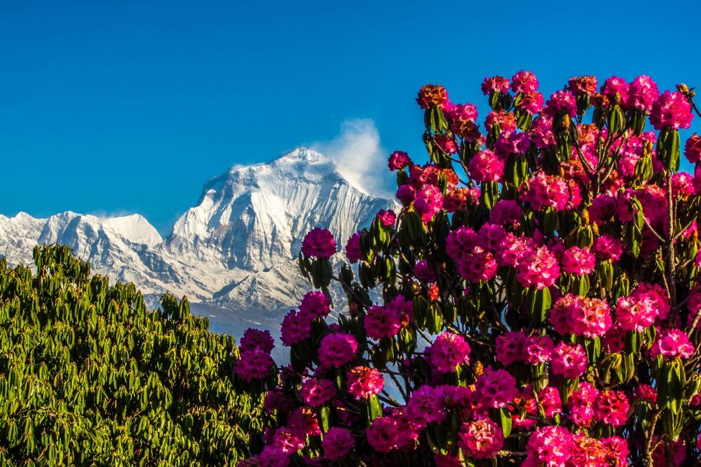 poon hill trek 2