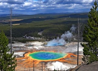 Visit Yellowstone - the first national forest in the world2
