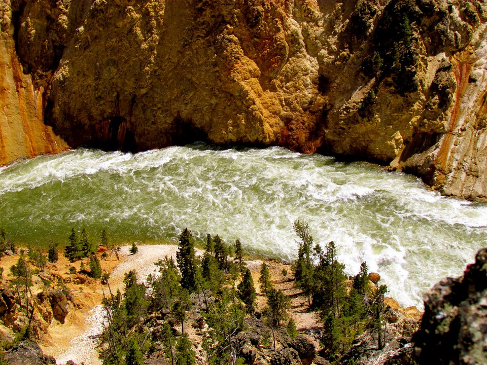 grand canyon of yellowstone