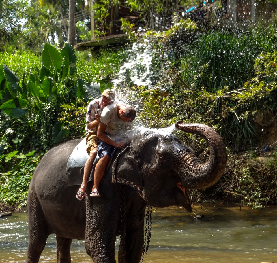 elephant-shower-kandy