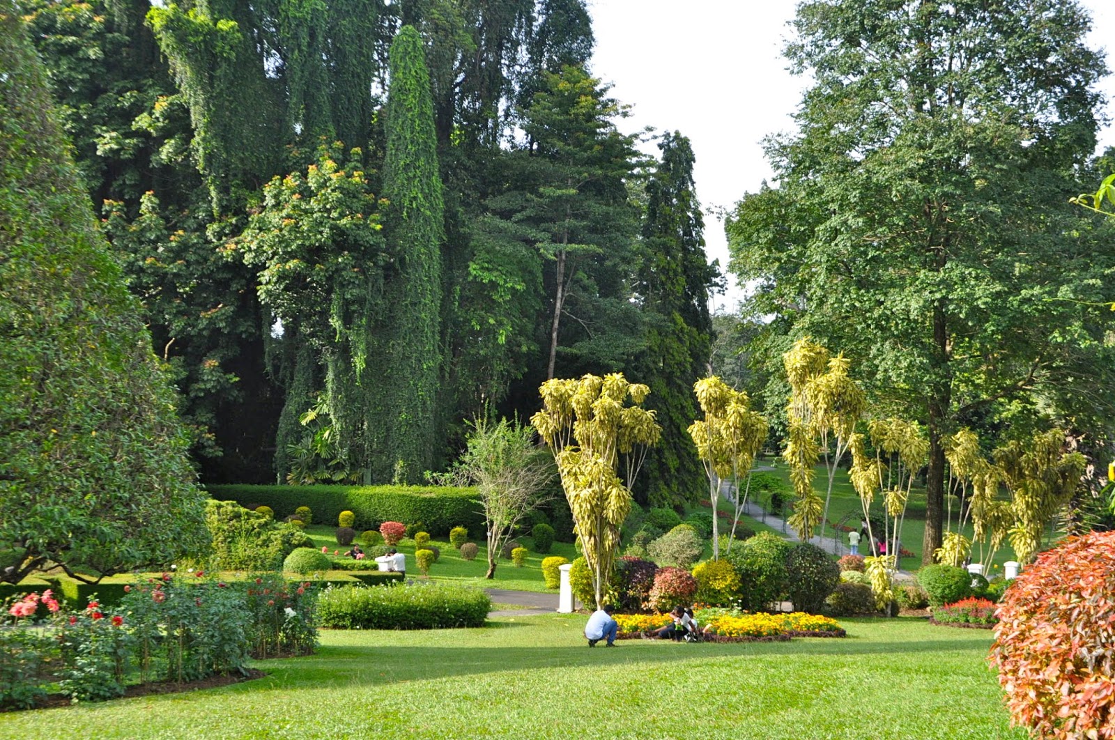 Royal Botanical Gardens in Peradeniya