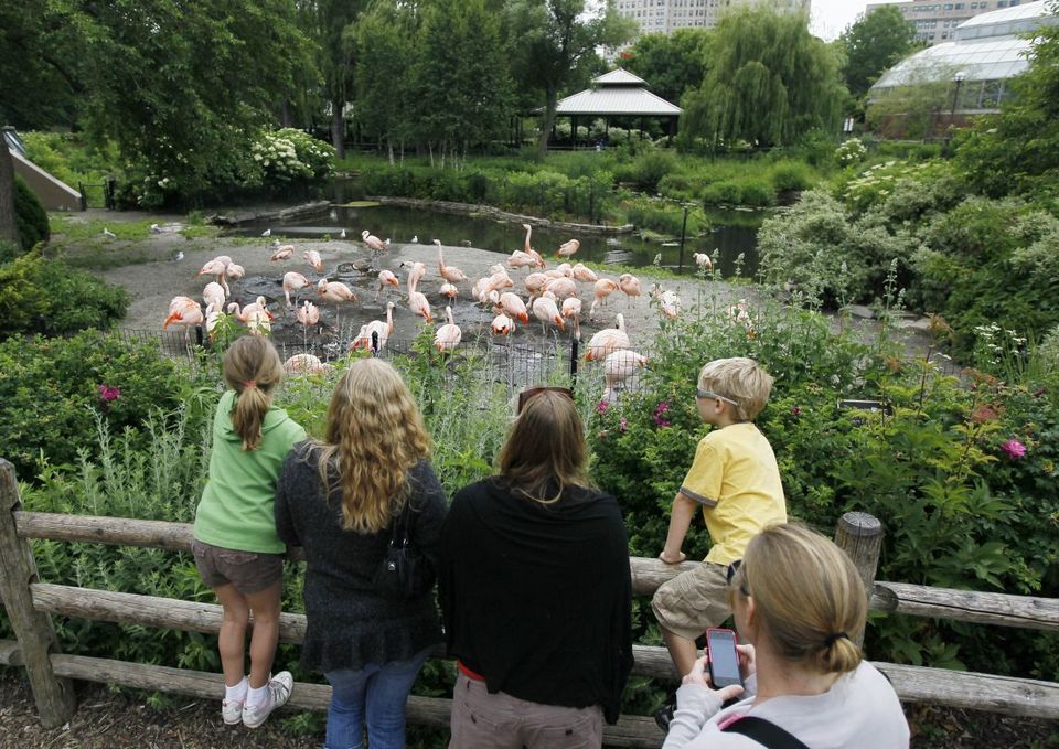 st-louis-zoo-animals missouri (1)