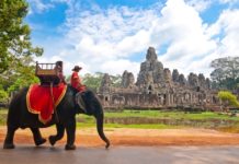 Siem-Reap elephant ride 2