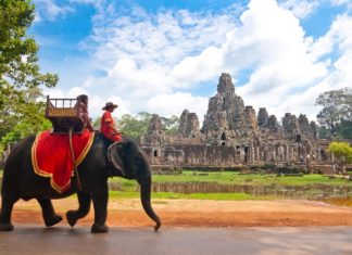 Siem-Reap elephant ride 2