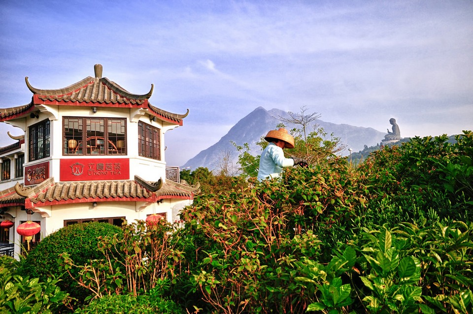 Ngong Ping Tea-house