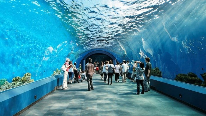 UnderwaterWorldPattaya