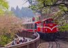 Alishan Mountain, Taiwan