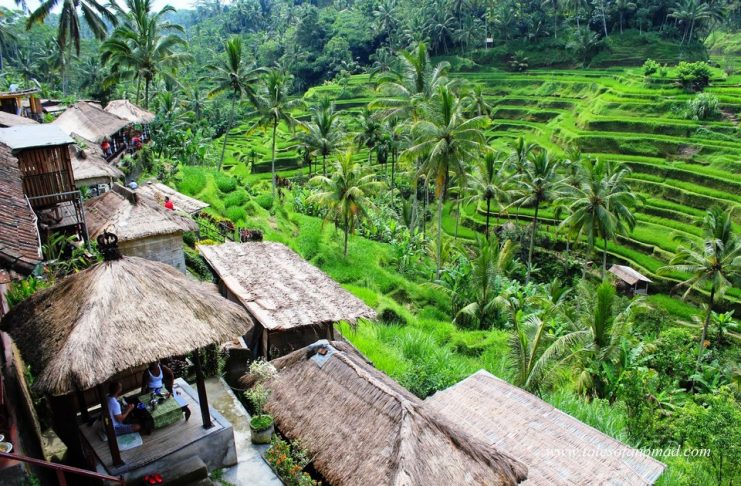 Ubud town Bali temple - Living + Nomads – Travel tips, Guides, News ...