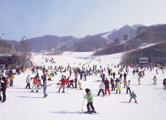 skiing-in-winter-korea
