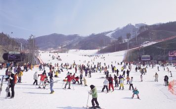 skiing-in-winter-korea