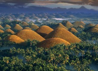 bohol chocolate-hills-PHIL0116