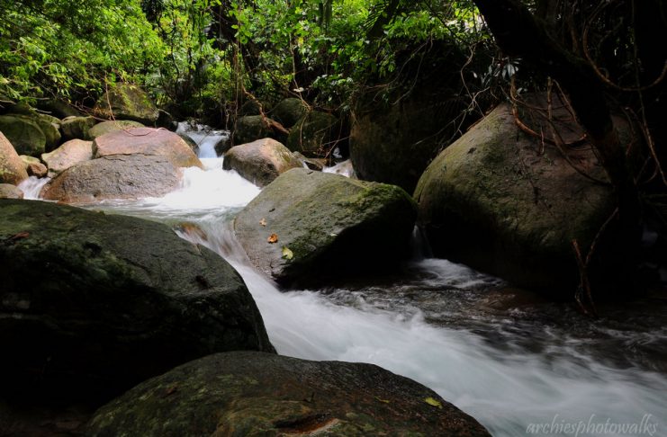 strolling-Gunung Kajang-tioman - Living + Nomads – Travel tips, Guides