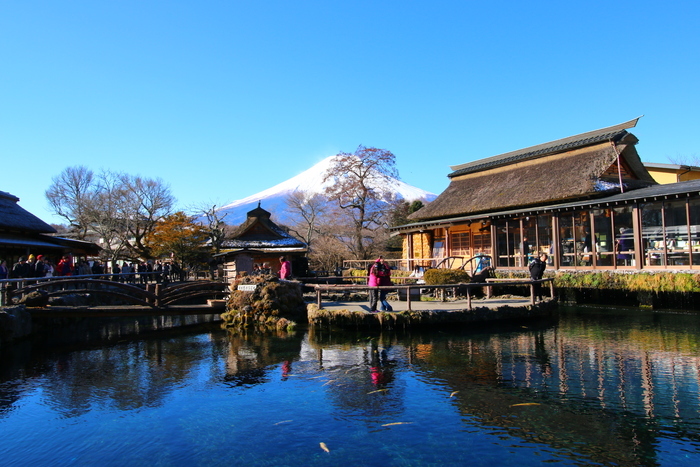 Fuji Mountain review: where to go