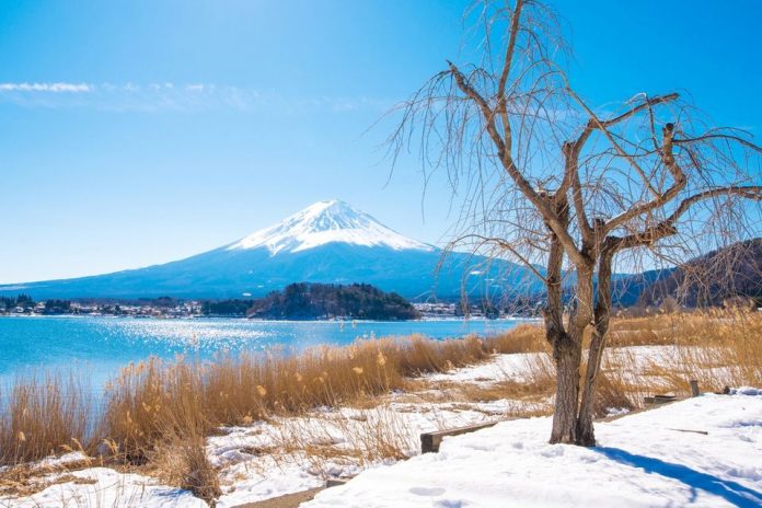 Mount Fuji day trip blog — How to spend one perfect day itinerary in Mt ...