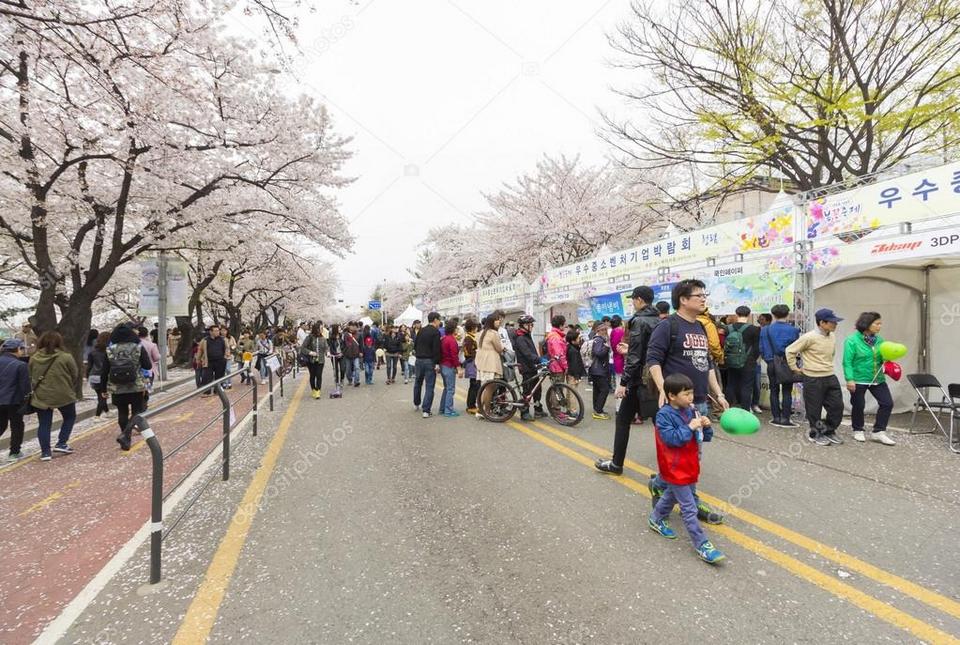 Yeouido Spring Flower Festival, Yeouiseoro Street seoul (1)