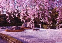 Cherry blossoms in Ryōan-ji Temple.