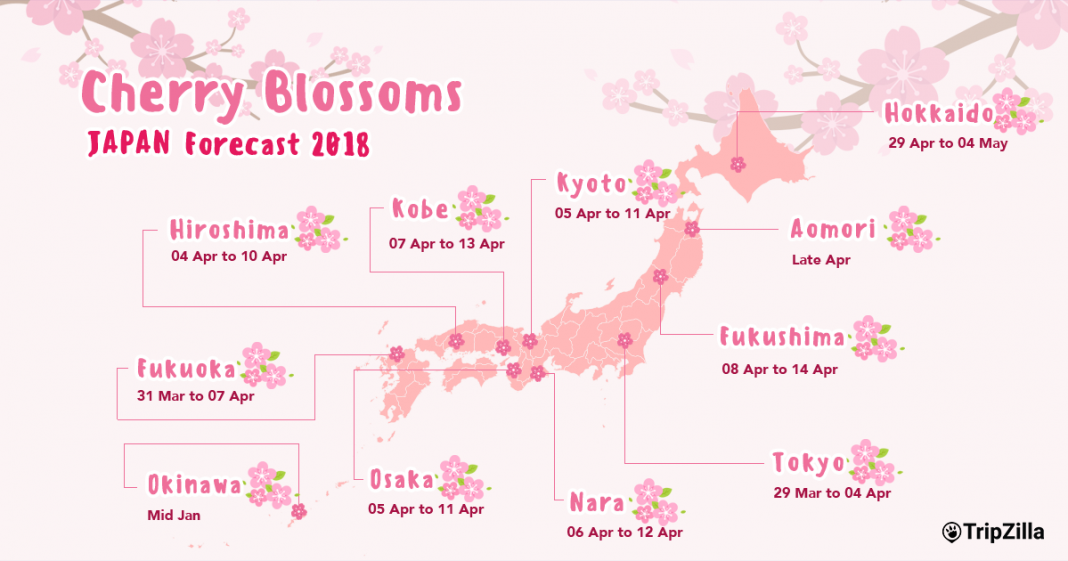 Cherry blossom Japan 2018 forecast — The dates & top 10 best places to ...