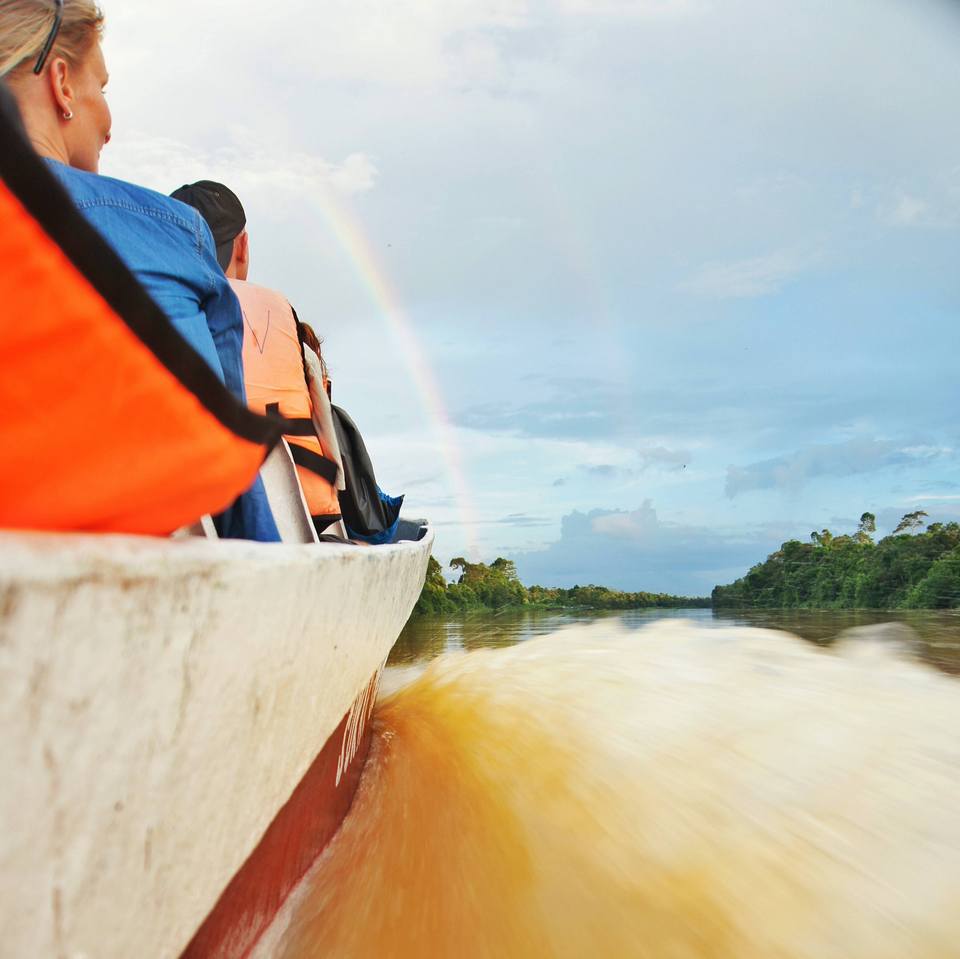 kinabatangan river-7 unforgettable experiences on the Borneo Island10