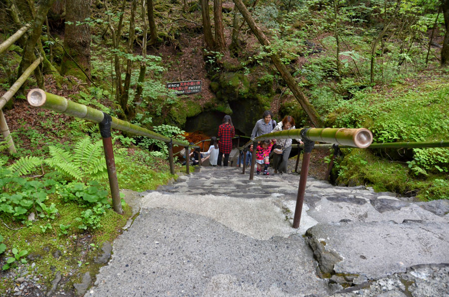 Fugaku Wind Cave2 places to visit near mt fuji places to visit near mount fuji mount fuji places to visit mt fuji places to visit